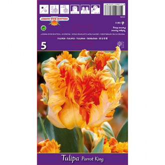 Lalele Parrot King imagine 8