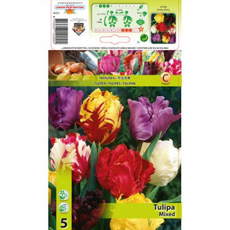 Lalele parrot mix multicolor imagine 8