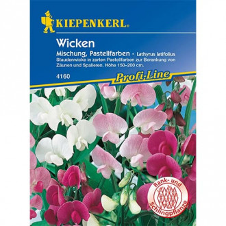 Lathyrus latifolius (Măzăriche) Pastell, mix multicolor imagine 15