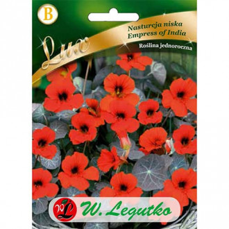 Латинка ниска Empress of India изображение 8