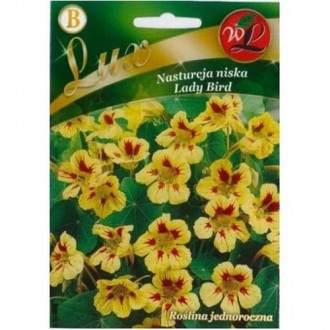 Латинка ниска Lady Bird изображение 6