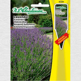 Lavandă Hidcote Blue imagine 13