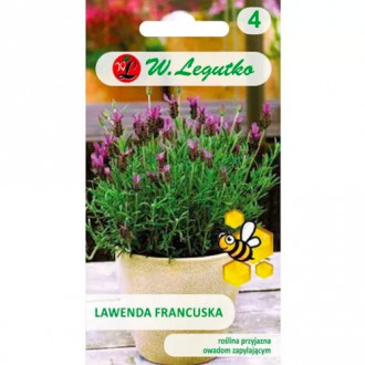 Lawenda francuska interface.image 7