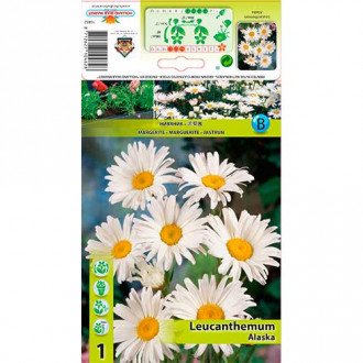 Маргаритка Alaska изображение 5