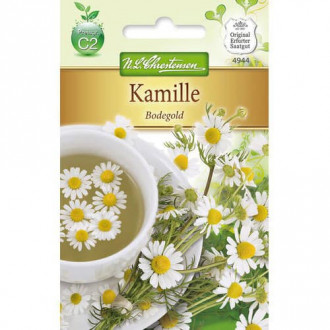 Лайка Bodegold изображение 2