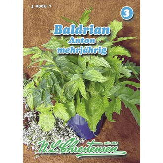 Лечебна дилянка Anton изображение 1