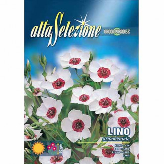 Лен едроцветен декоративен изображение 2