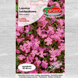 Lepnica baldaszkowa interface.image 2