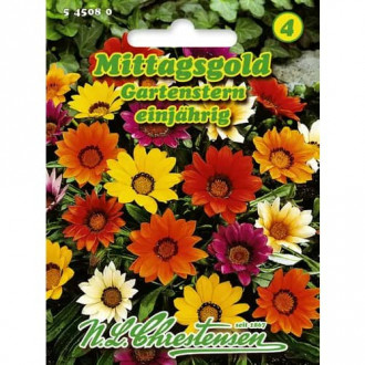 Летен гербер Gartenstern, смес изображение 2