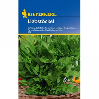 Leuștean peren imagine 14