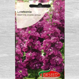 Lewkonia letnia Excelsior fioletowa interface.image 5