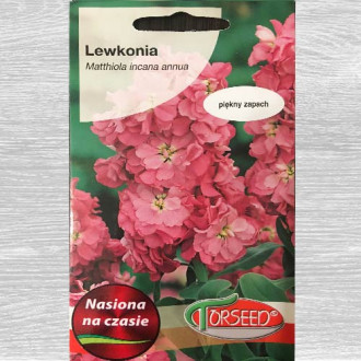 Lewkonia letnia Excelsior lilowa interface.image 8
