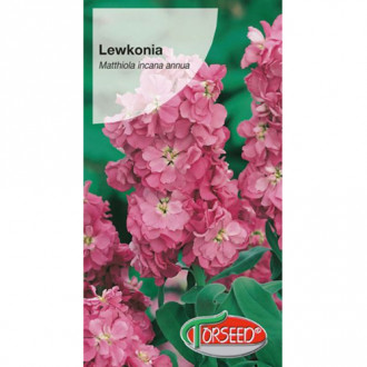 Lewkonia letnia Excelsior różowa interface.image 12