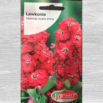 Lewkonia letnia Excelsior wiśniowowrzosowa interface.image 10