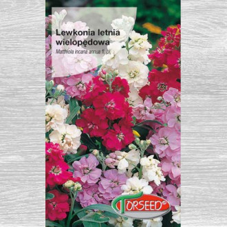 Lewkonia wielopędowa, mieszanka interface.image 13