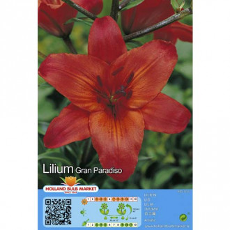 Lilia Gran Paradiso interface.image 5