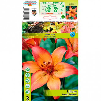 Lilia Royal Sunset interface.image 10