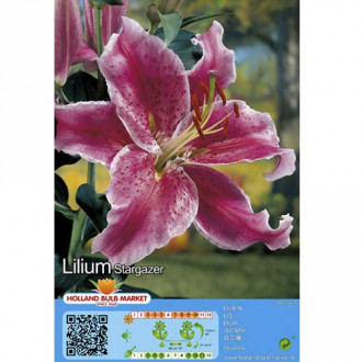 Lilia Stargazer interface.image 9