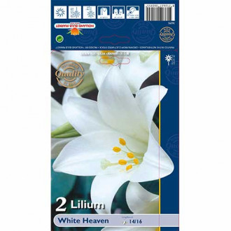Lilia White Heaven interface.image 18