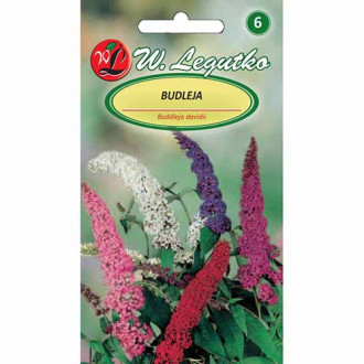 Liliac de vară, mix multicolor imagine 16