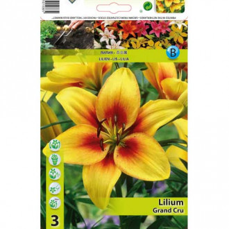 Лилиум Grand Cru изображение 6