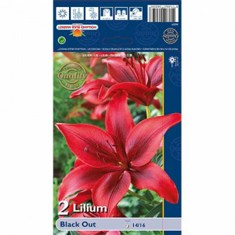 Лилиум Black Out изображение 6