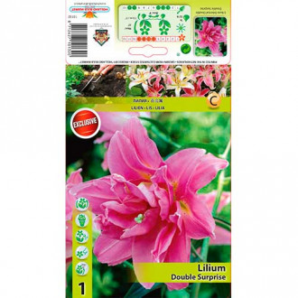 Лилиум източен Double Surprise изображение 17