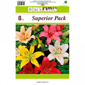 Лилиум LA Mixed изображение 15