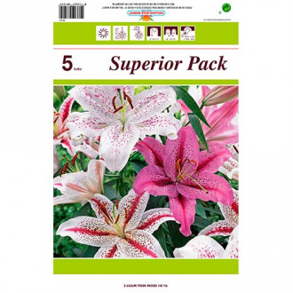 Лилиум Tiger Mixed изображение 12