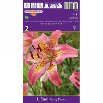Лилия Fancy Dance изображение 9