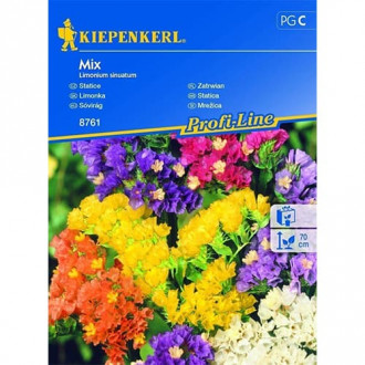 Limonium sinuatum (Sărăturică) mix multicolor imagine 1