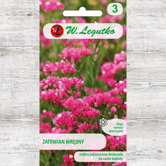 Limonium sinuatum (Sărăturică) roz carmin Legutko imagine 6