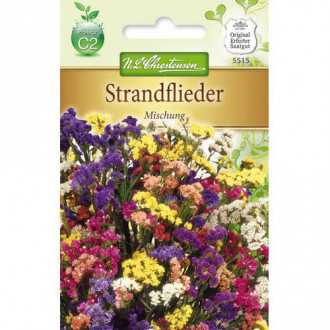 Limonium sinuatum (Sărăturică), mix multicolor imagine 1