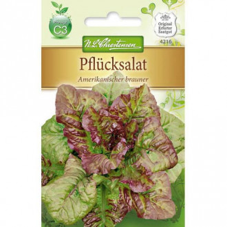 Листна салата Amerikanischer Brauner изображение 6