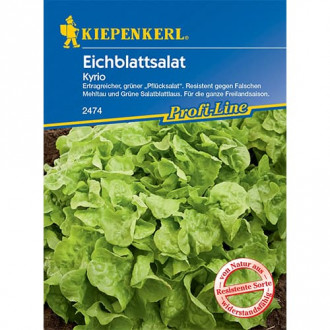 Маруля Kyrio изображение 12