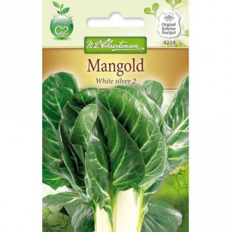 Листно цвекло White Silver 2 Chrestensen изображение 5