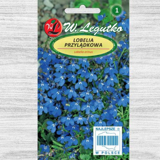 Lobelia curgătoare albastră Legutko imagine 5