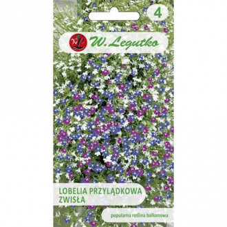 Lobelia curgătoare de ghiveci, mix multicolor imagine 7
