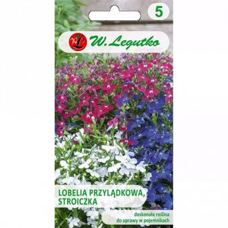 Lobelia curgătoare, mix multicolor imagine 3