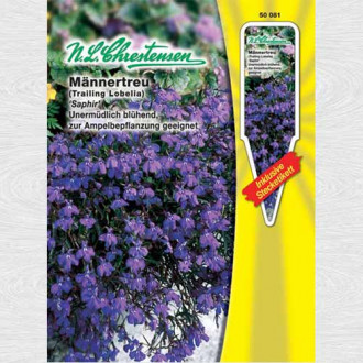 Lobelia curgătoare Saphir imagine 12