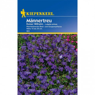 Lobelia Kaiser Wilhem imagine 2