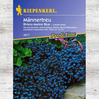 Lobelia przylądkowa Riviera Marine Blue interface.image 12