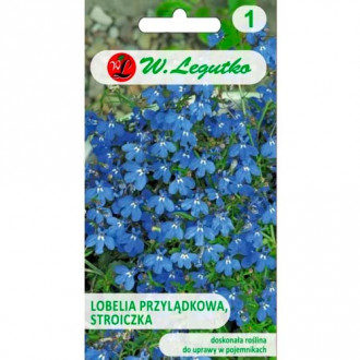 Лобелия синя Legutko изображение 11