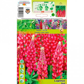 Łubin Red interface.image 7