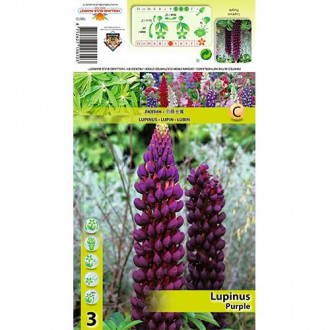 Łubin Purple interface.image 8