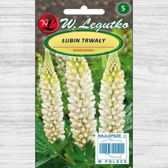Łubin trwały Noblemaiden biały Legutko interface.image 11