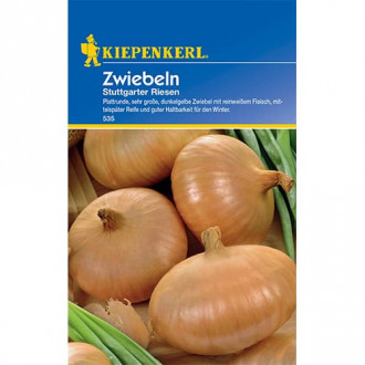 Лук Stuttgarter Riesen Kiepenkerl изображение 9