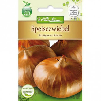 Лук Stuttgarter Riesen изображение 16