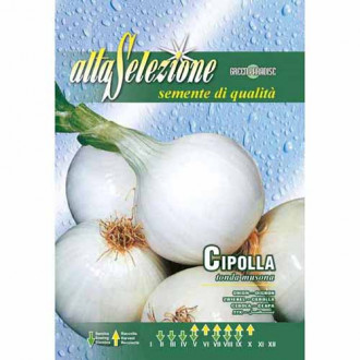 Лук Tonda musona изображение 4