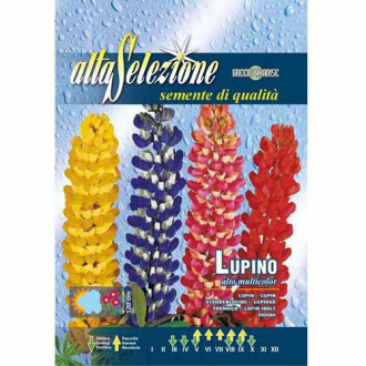 Lupin înalt, mix multicolor imagine 15